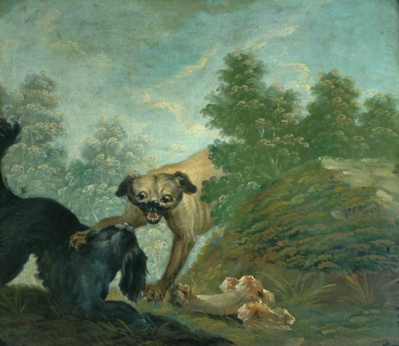 Two Dogs Fighting over a Bone