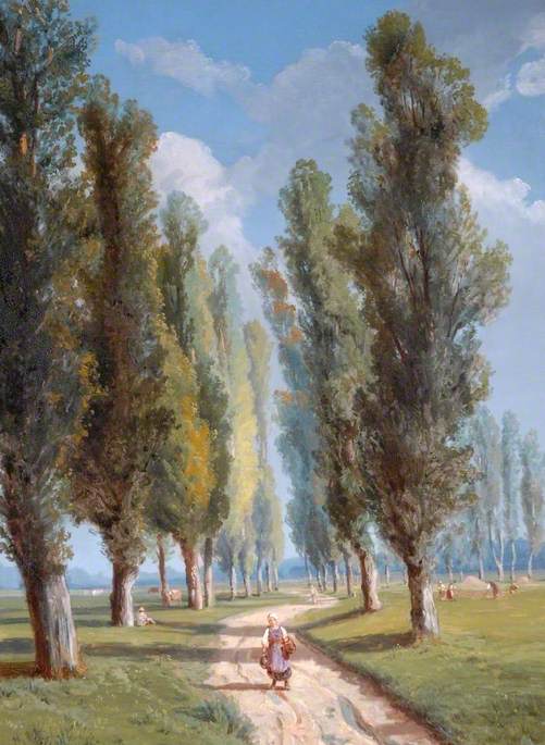 Avenue of Poplars