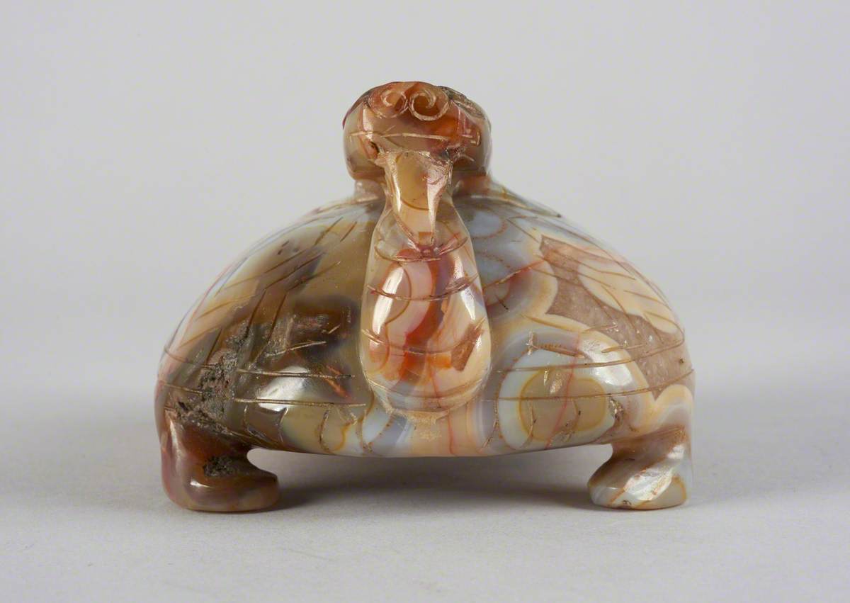 Tortoise