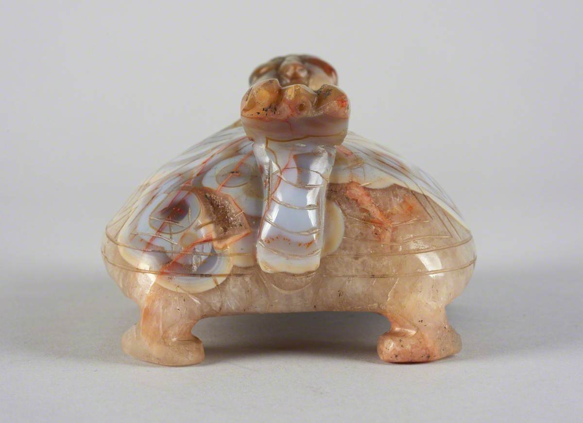 Tortoise