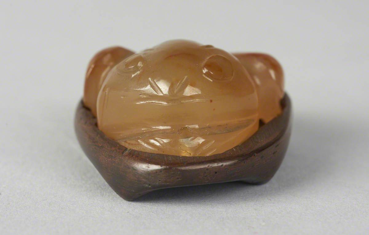 Toad