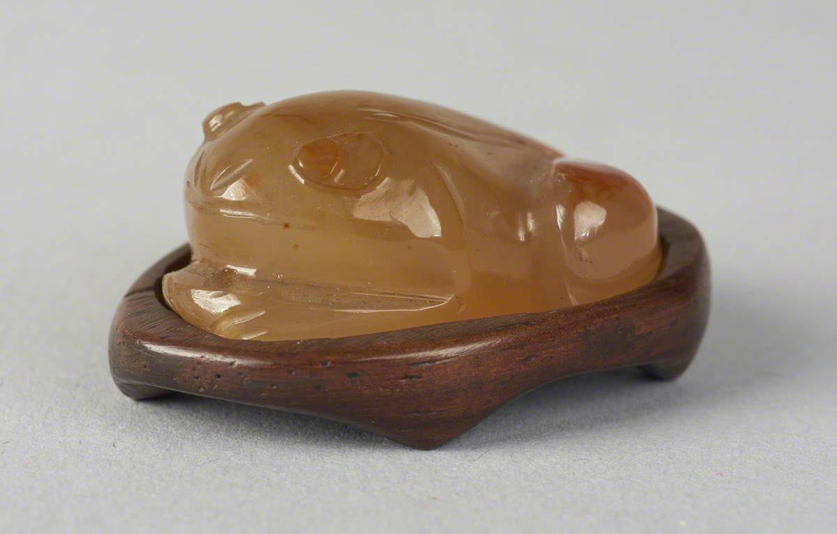 Toad