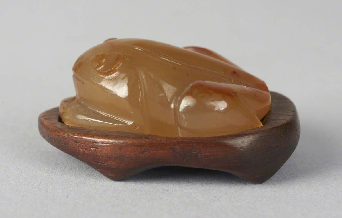 Toad