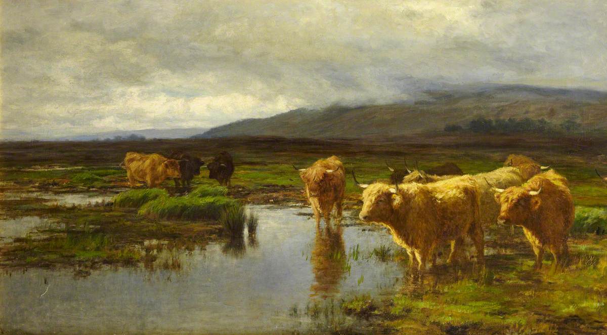 Moorland and Mist