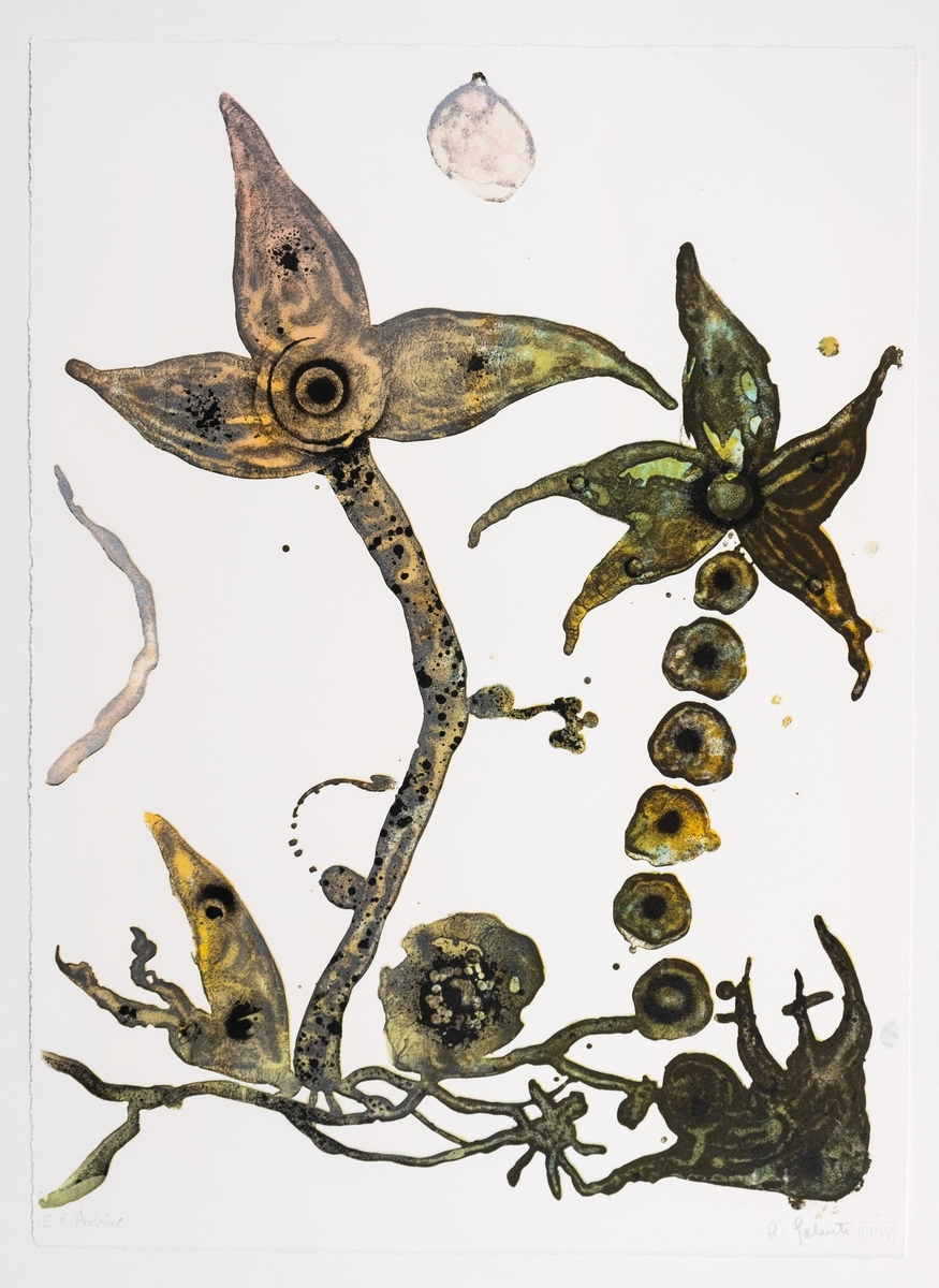 Untitled (small)