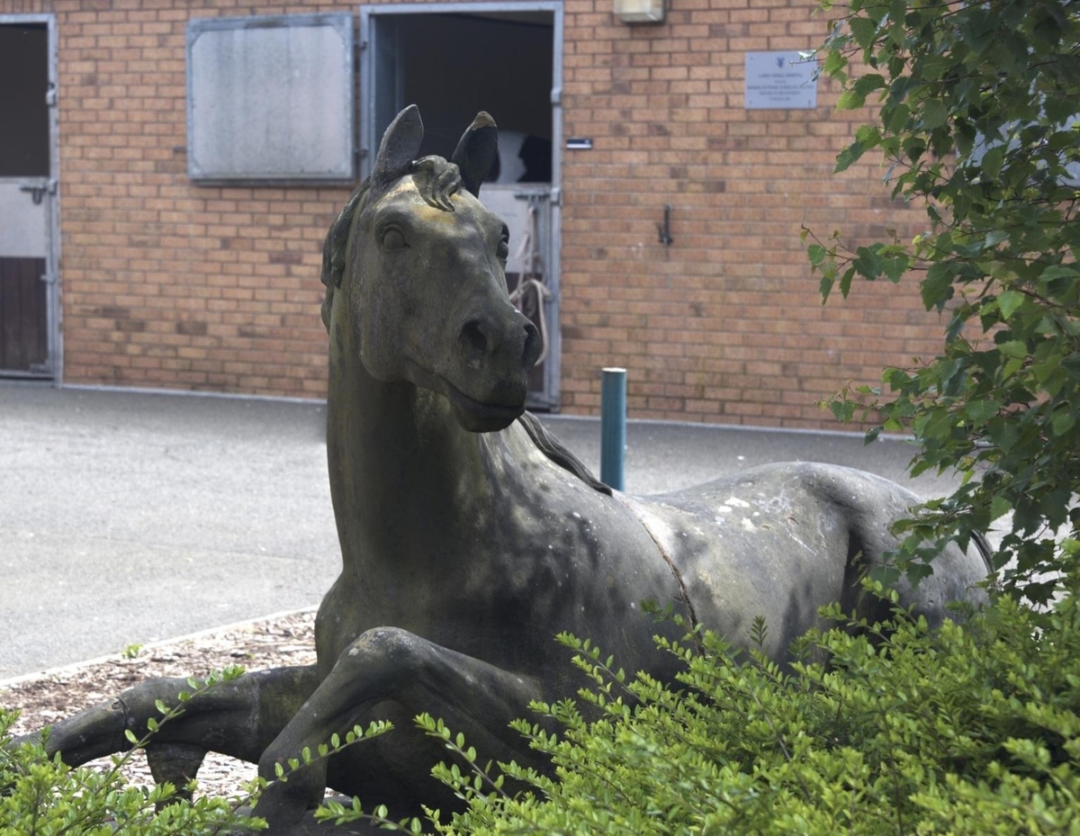 Recumbent Horse / Startled Horse Rising