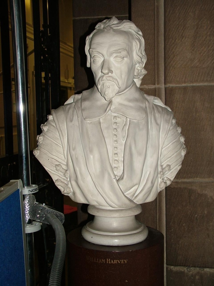 William Harvey (1578–1657), Physician