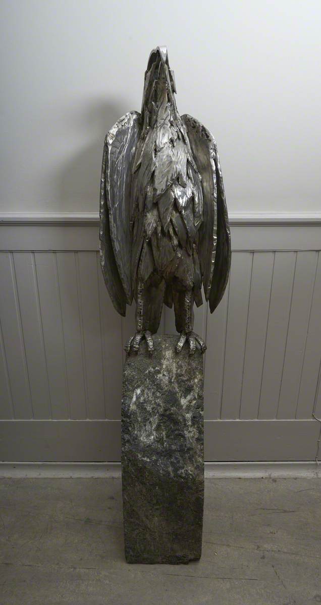 Shaman Eagle
