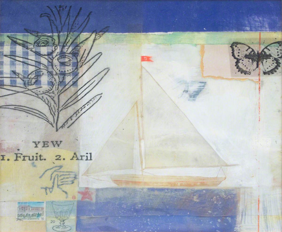 Dinghy Collage