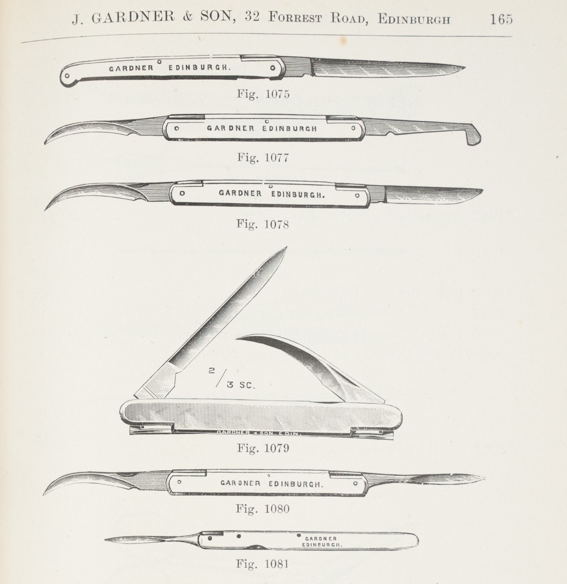 Lancets
