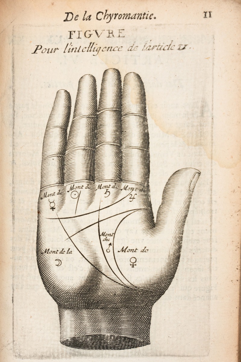 Palmistry
