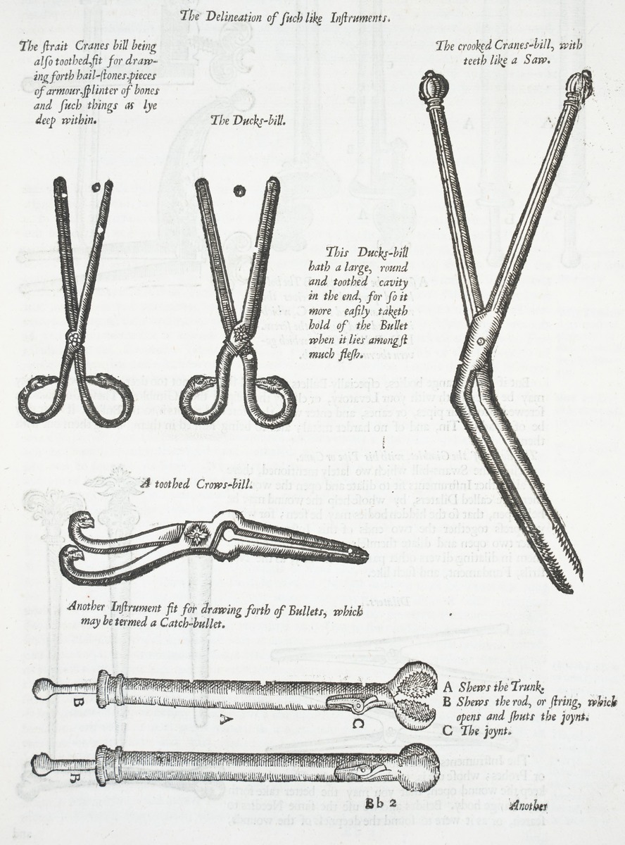 Teeth Files and Teeth Forceps