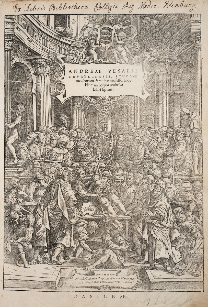 Anatomical Dissection Frontispiece, Andreas Vesalius