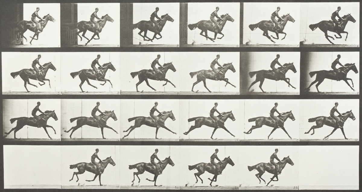 Man Riding Horse
