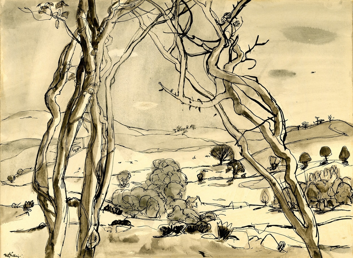 Solway Landscape