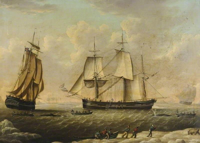 Hull Whaler 'Elizabeth'