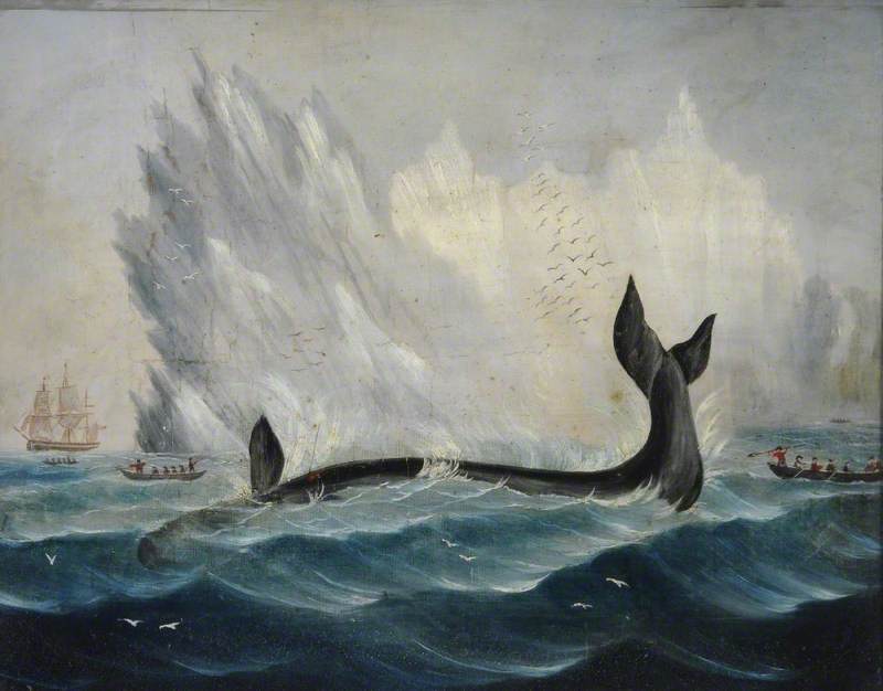 Whaling