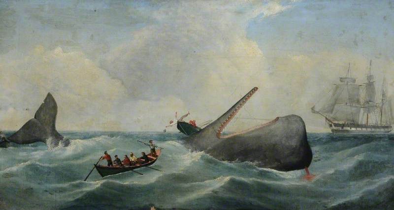 Harpooned Sperm Whale with Head Upturned and Overturning a Whale Boat Alongside