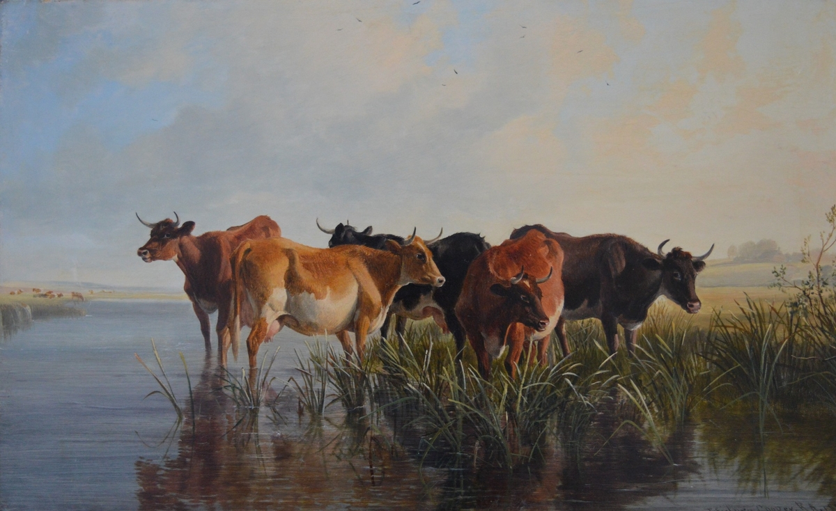 Landscape with Cows