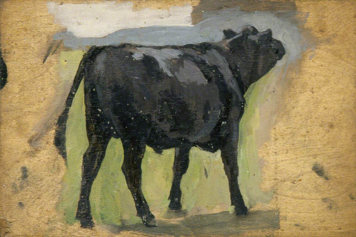 Black Cow