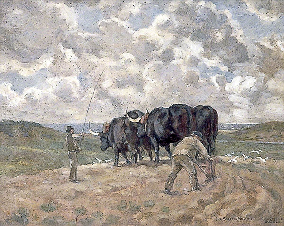 Oxen Ploughing, the Cuckmere