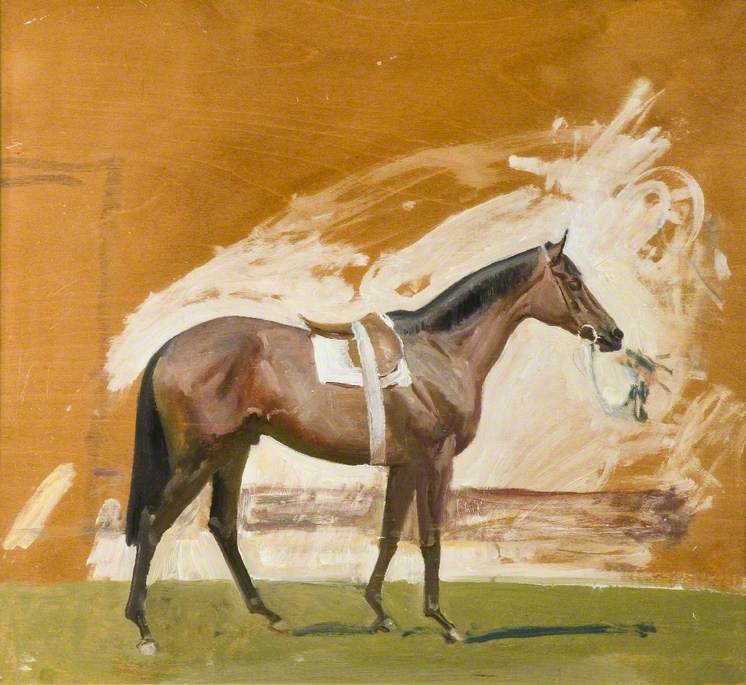 Study of a Bay Racehorse