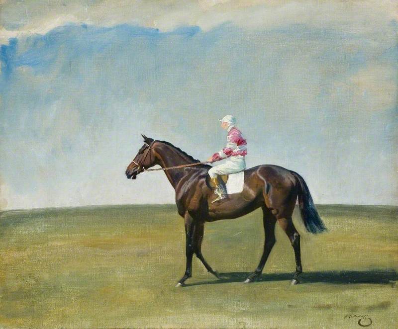 A Bay Racehorse with Jockey up, in Pink and White Striped Colours, in a Landscape