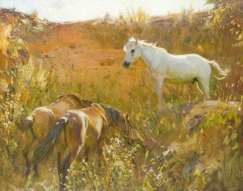 Ponies in a Sandpit, Ringland Hills, Norfolk