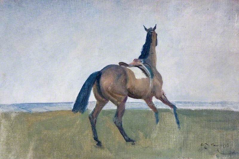 Study of a Loose Horse