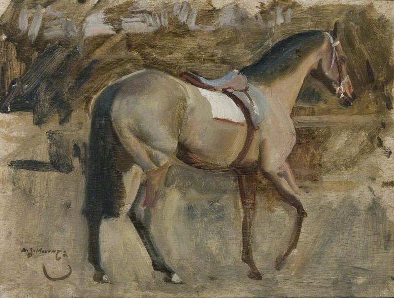 Study of a Bay Racehorse