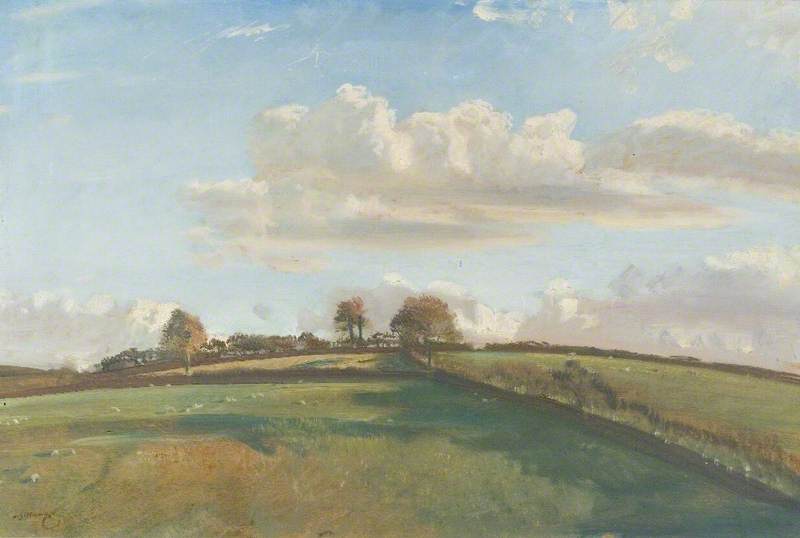 An Extensive Landscape with Sheep Grazing in the Fields