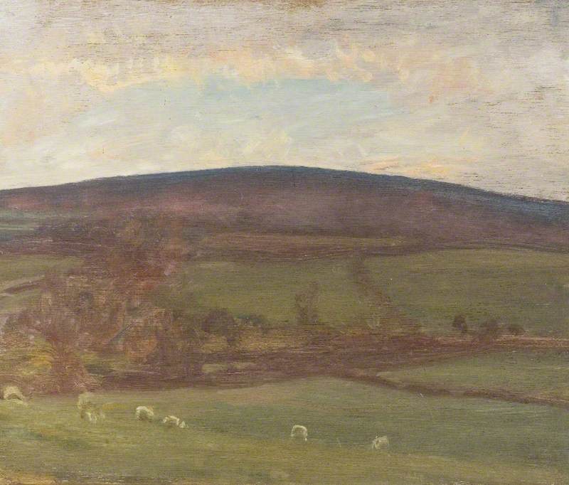 Withypool Hill, Exmoor, Sheep in the Foreground