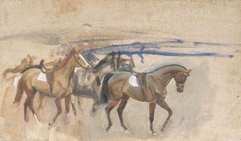 Study of a Racehorse