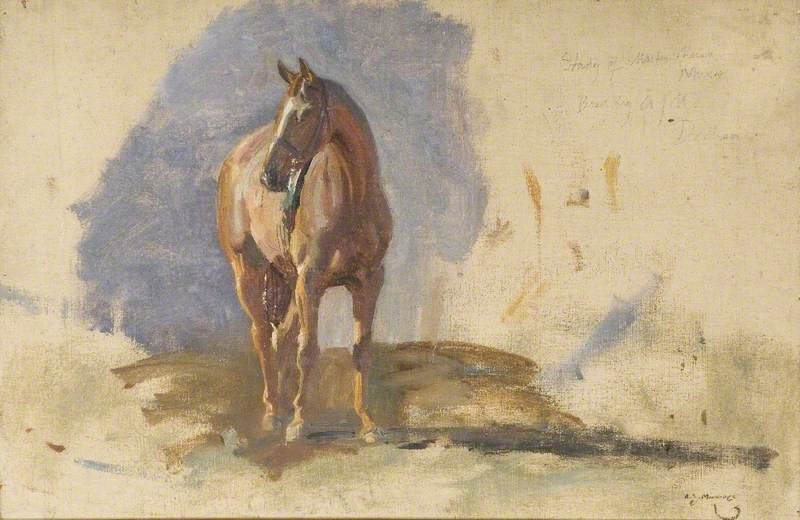 Study of a Bay Horse, 'Master', Bred by the Artist at Dedham