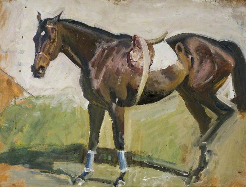 Study of a Bay Racehorse