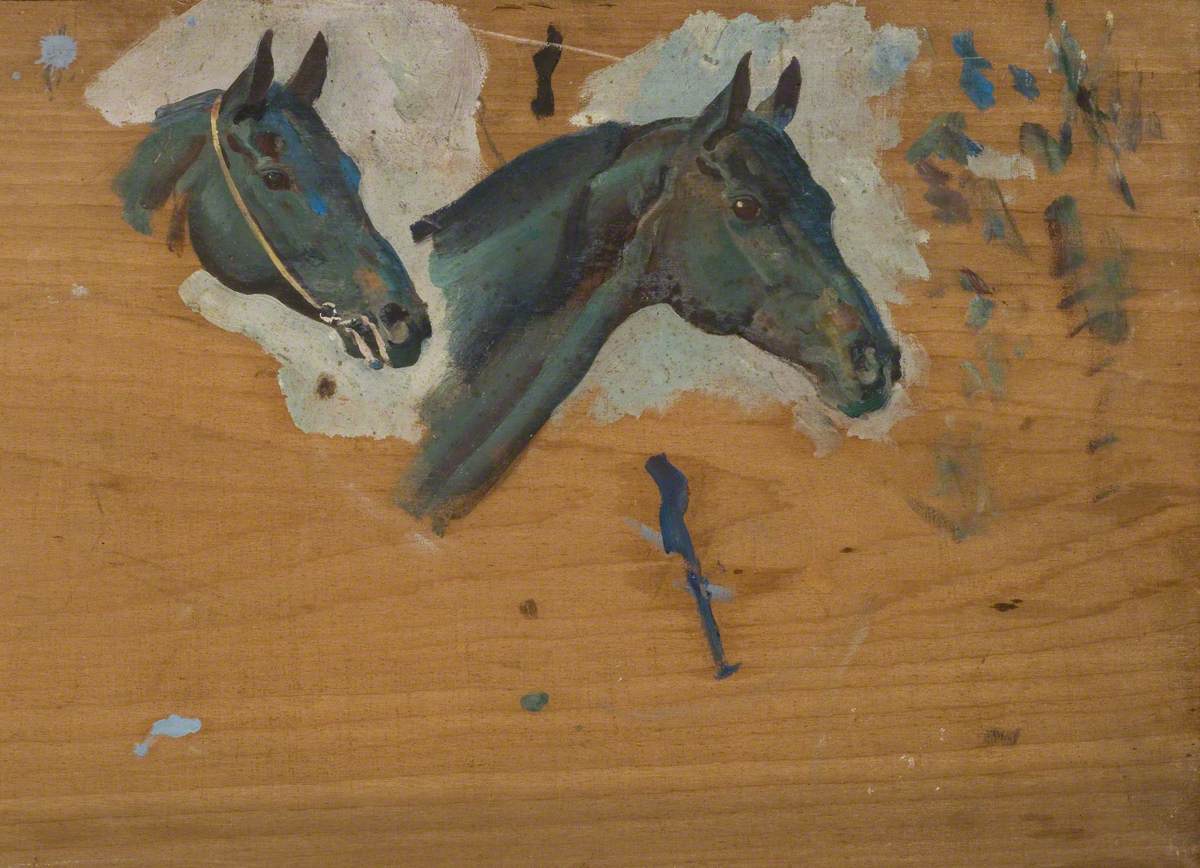 Studies of a Horse's Head
