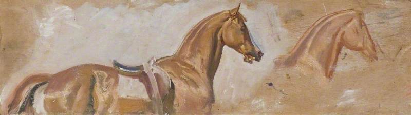 Studies of a Chestnut Racehorse