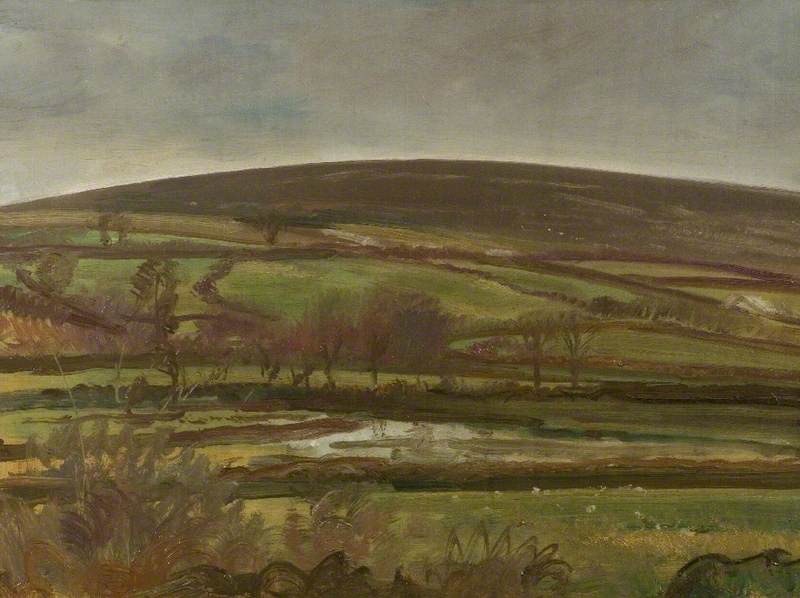 Landscape, Withypool, Exmoor, Winter