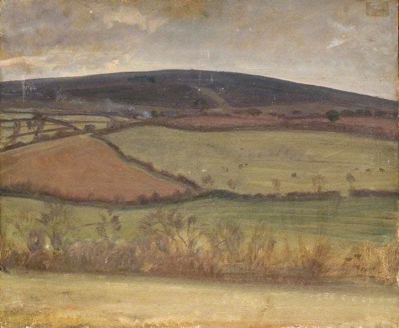 A View on Exmoor