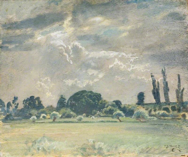 Trees by a Field