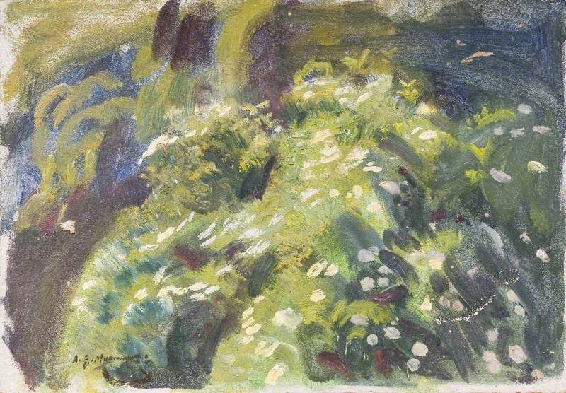 Study of Blossom