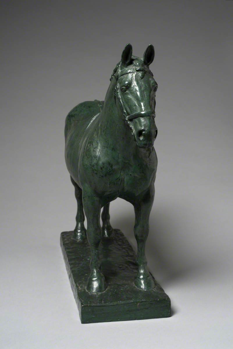 A Suffolk Punch Stallion