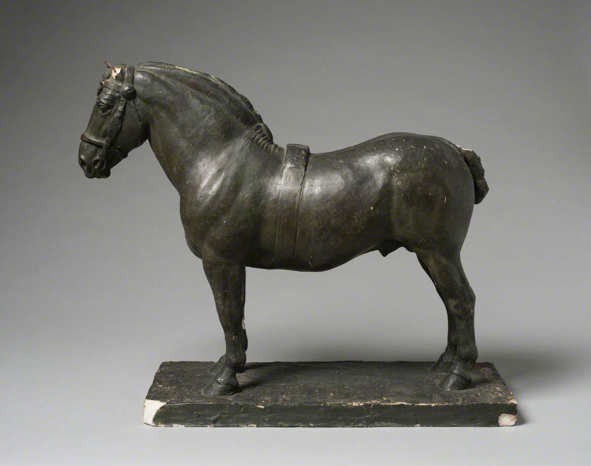 A Suffolk Punch Stallion