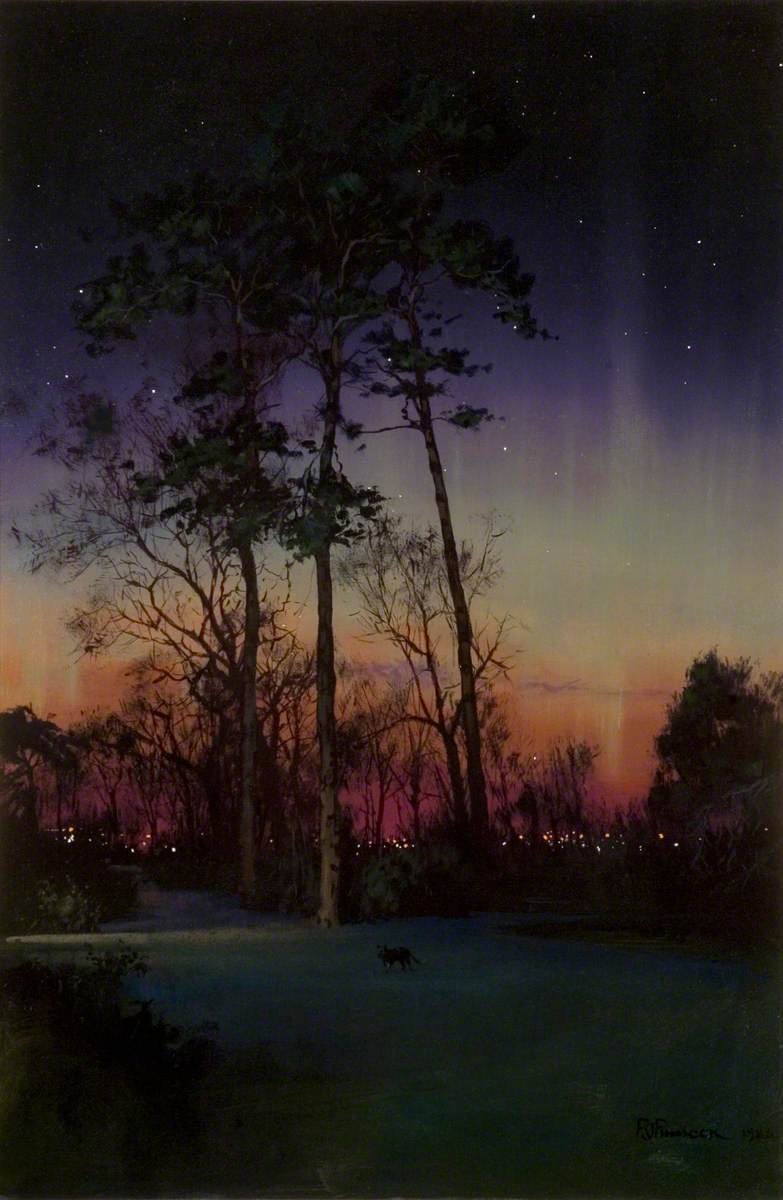 Chalkwell Park with Aurora Borealis