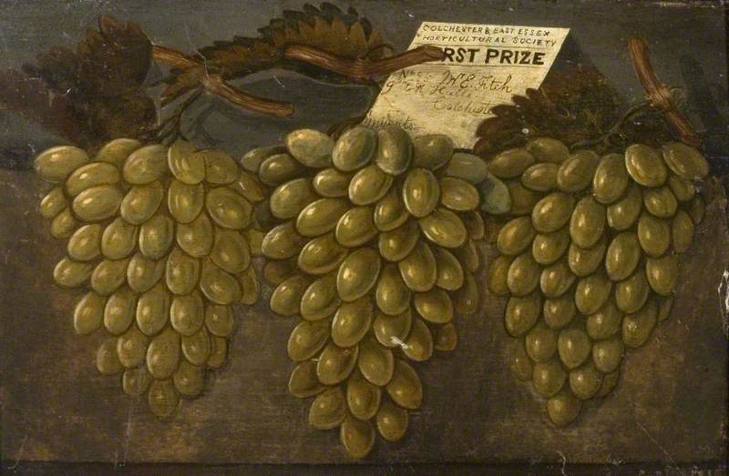 Three Bunches of First Prize Green Grapes