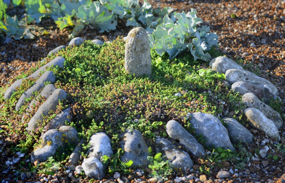 Derek Jarman's Garden #8