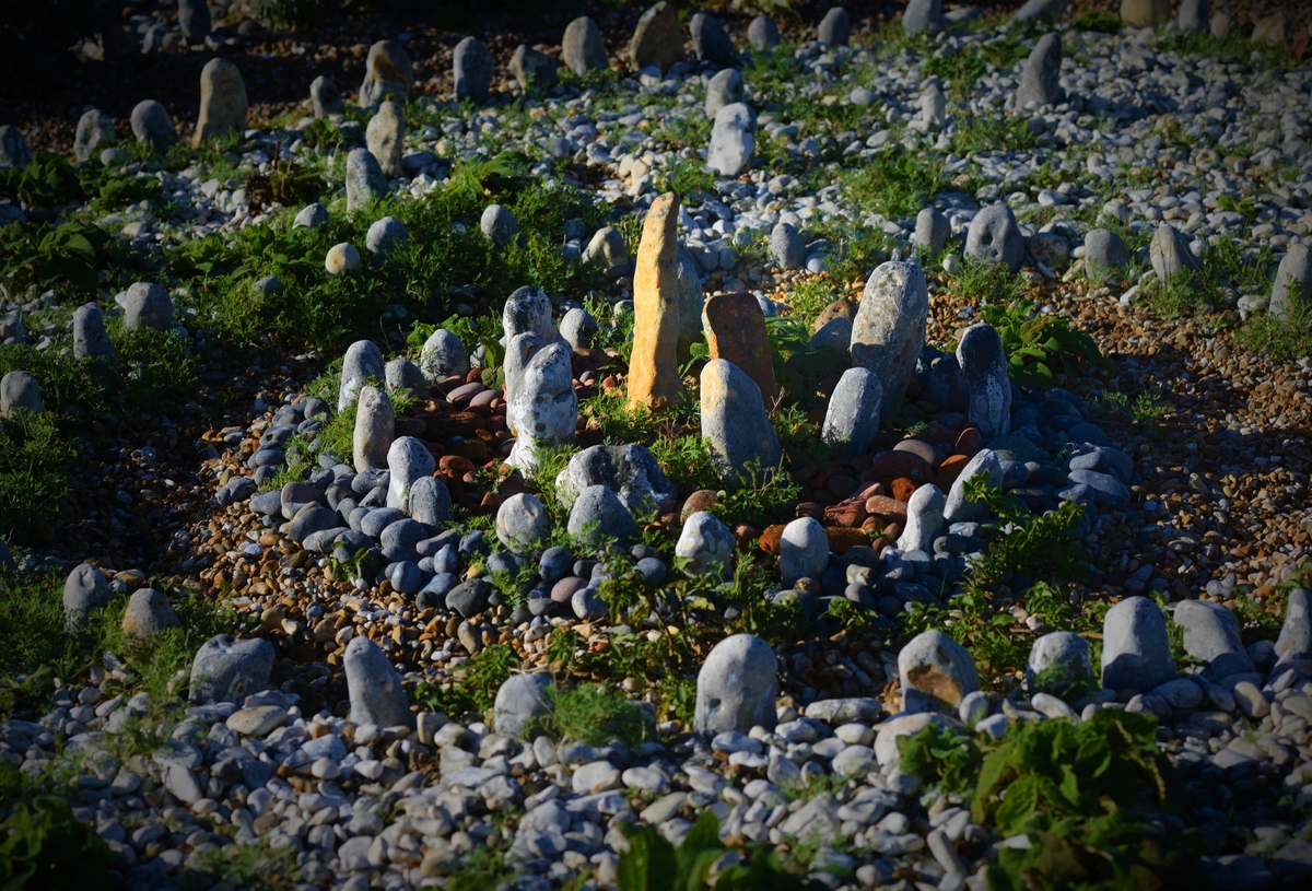 Derek Jarman's Garden #5