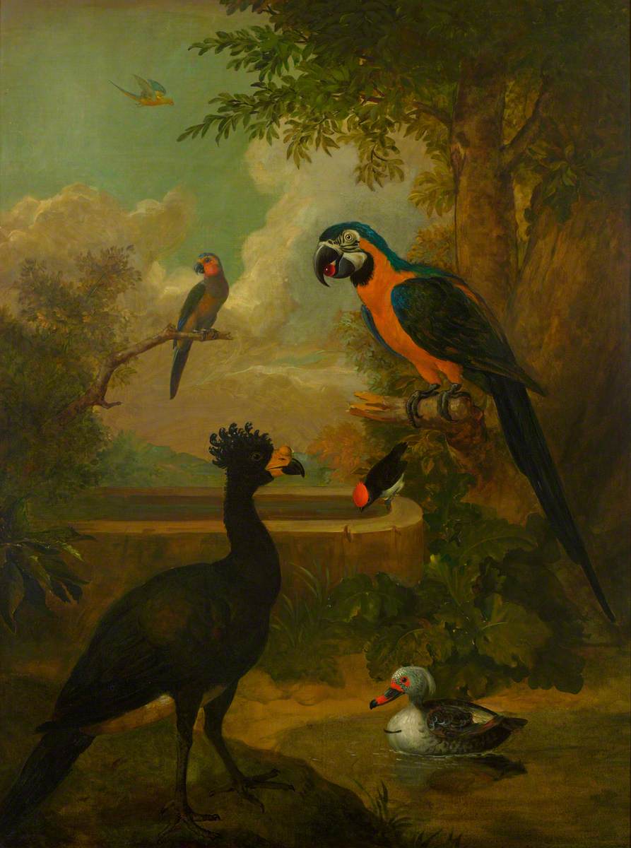 Macaw and Other Birds in a Landscape