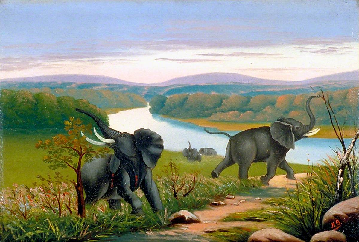 Elephant Shooting on the Kwanga River