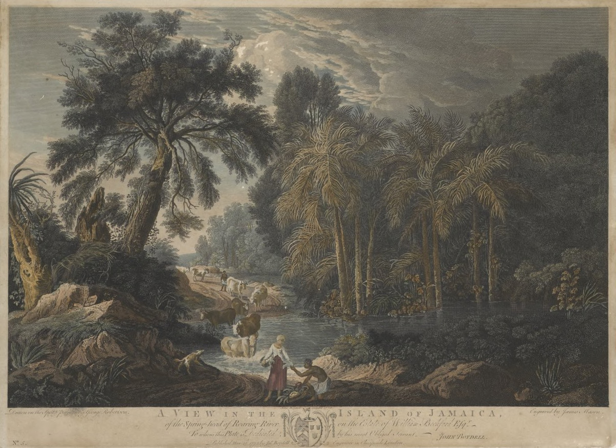A View in the Island of Jamaica, of the Spring-Head of Roaring River on the Estate of William Beckford Esq. [5]